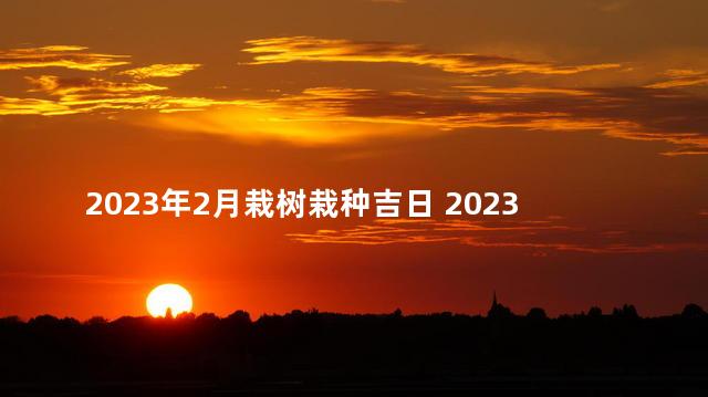 2023年2月栽树栽种吉日 2023年能结婚吗